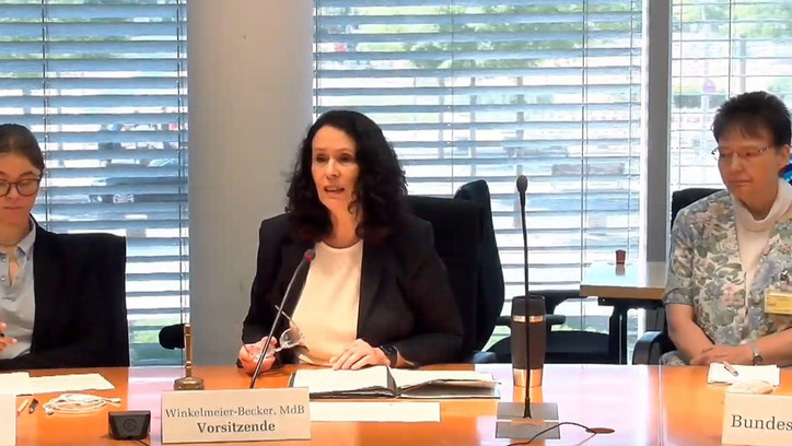 Vorsitz des Rechtsausschusses